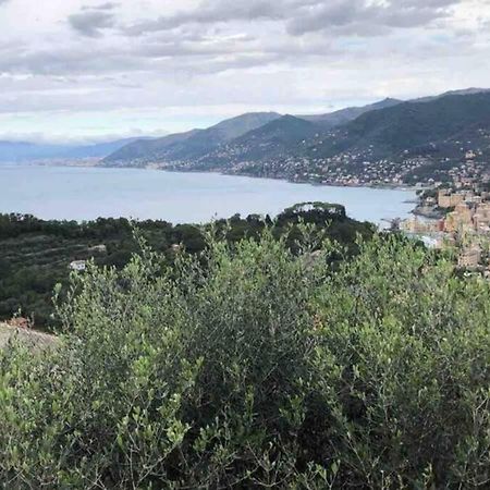 Acqua Marina Apartment Camogli Ngoại thất bức ảnh