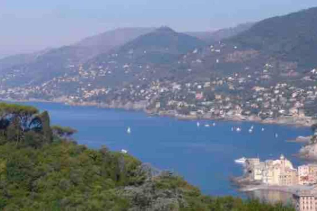Acqua Marina Apartment Camogli Ngoại thất bức ảnh