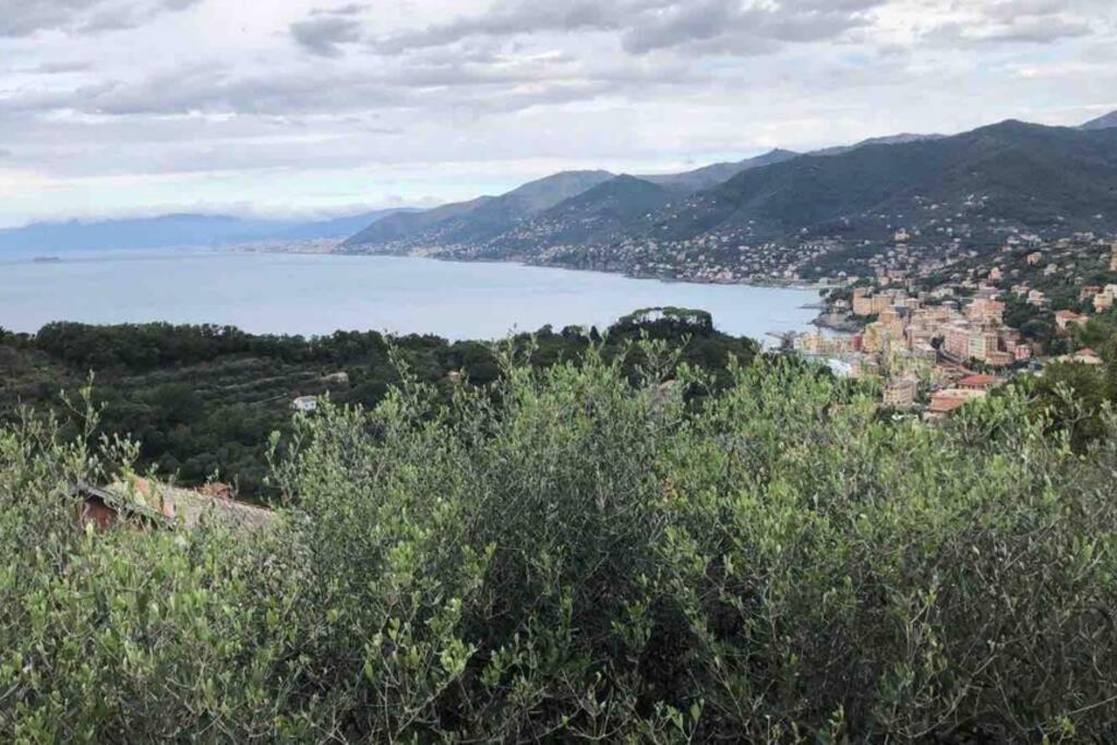 Acqua Marina Apartment Camogli Ngoại thất bức ảnh